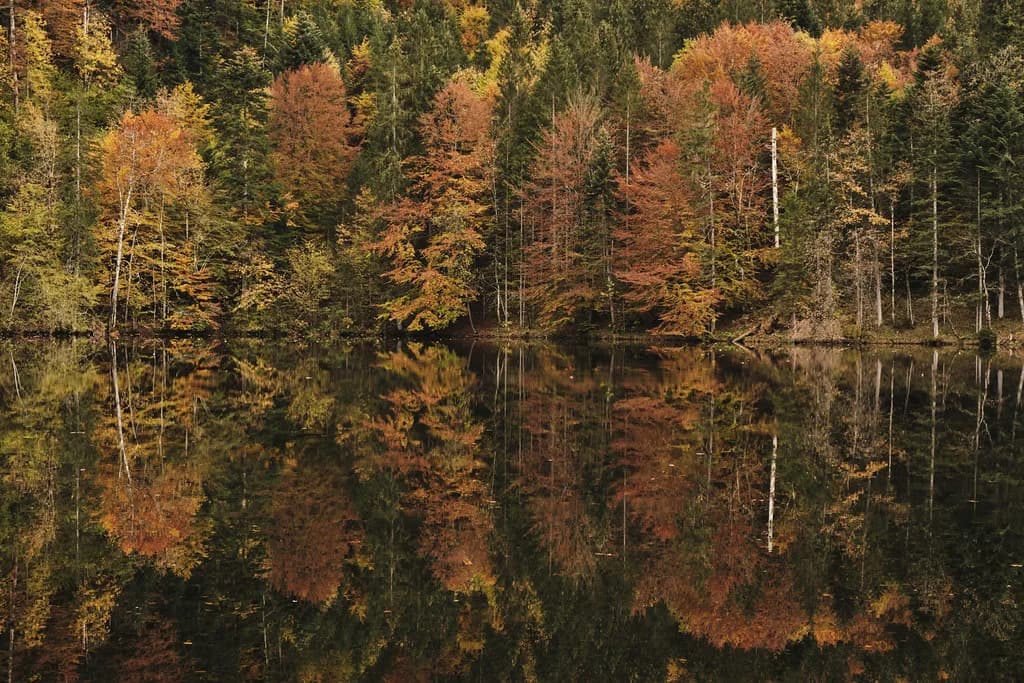 Almsee, Austria: The Alpine Lake at the End of the Almtal