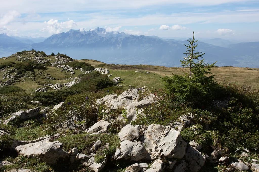 Bregenzerwald, Austria: Villages, Timber Architecture and the Cheese Road