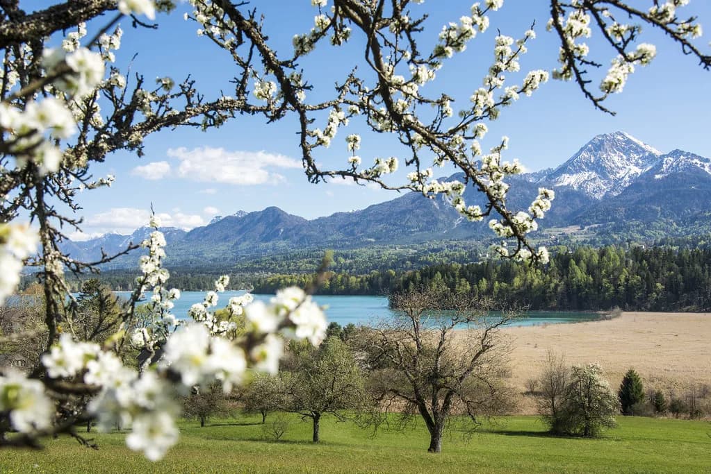Faaker See: A Lake Guide to Carinthia's Turquoise Water