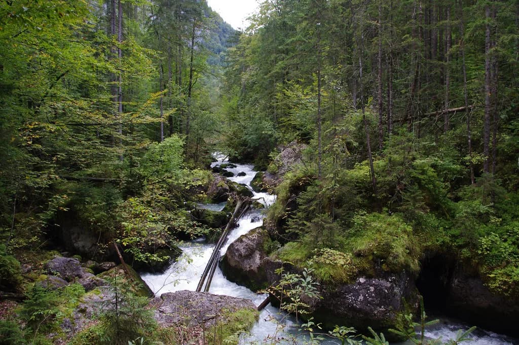 Hallstatt Waterfall: Visiting the Waldbachstrub Falls