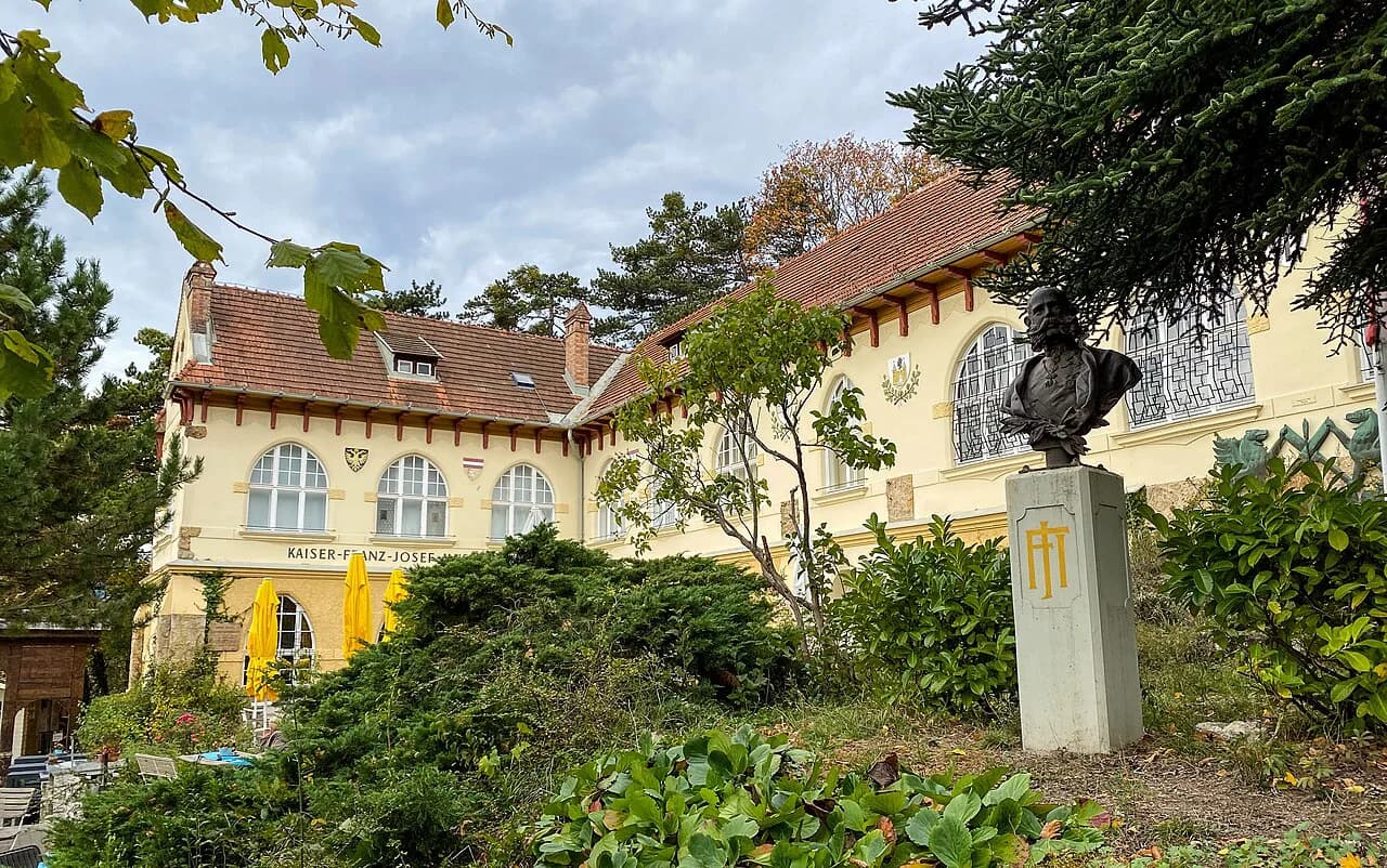 Kaiser Franz Josef Museum in Baden: A Visitor's Guide to the Mitterberg Collection
