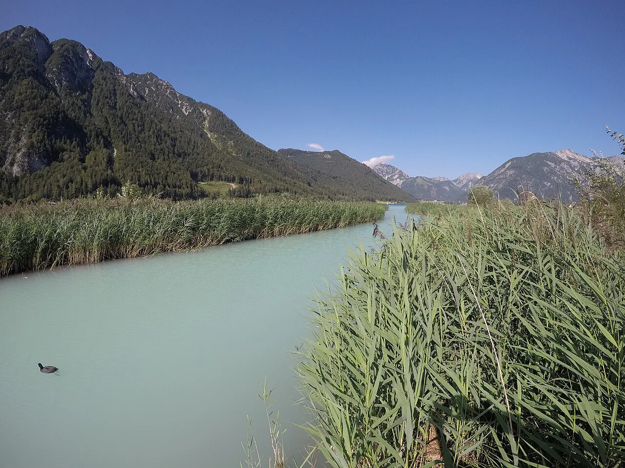 The Wankratbach stream and reeds near the Achensee.