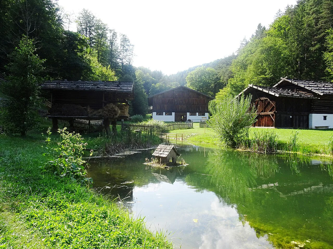 Timber farm buildings beside a pond at the Austrian Open-Air Museum Stübing.