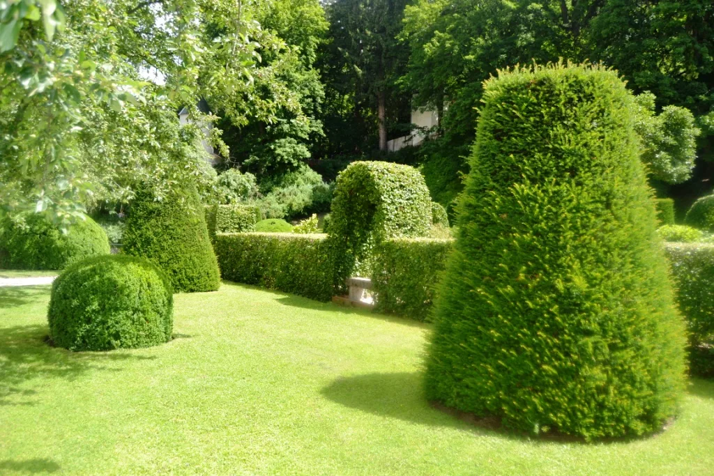 Clipped topiary in the gardens of Ambras Castle in Innsbruck.