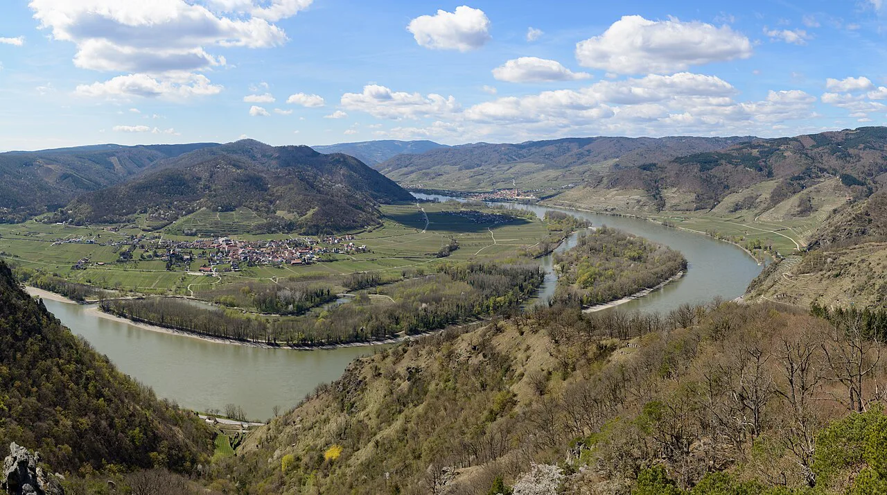 The Danube winding through the Wachau, seen from the Dürnsteiner Kanzel viewpoint.