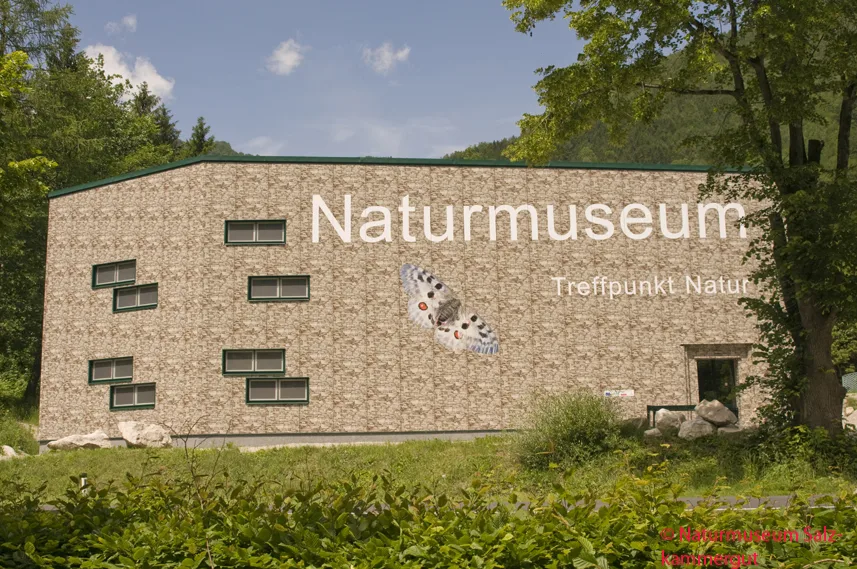 The Naturmuseum Salzkammergut in Ebensee.
