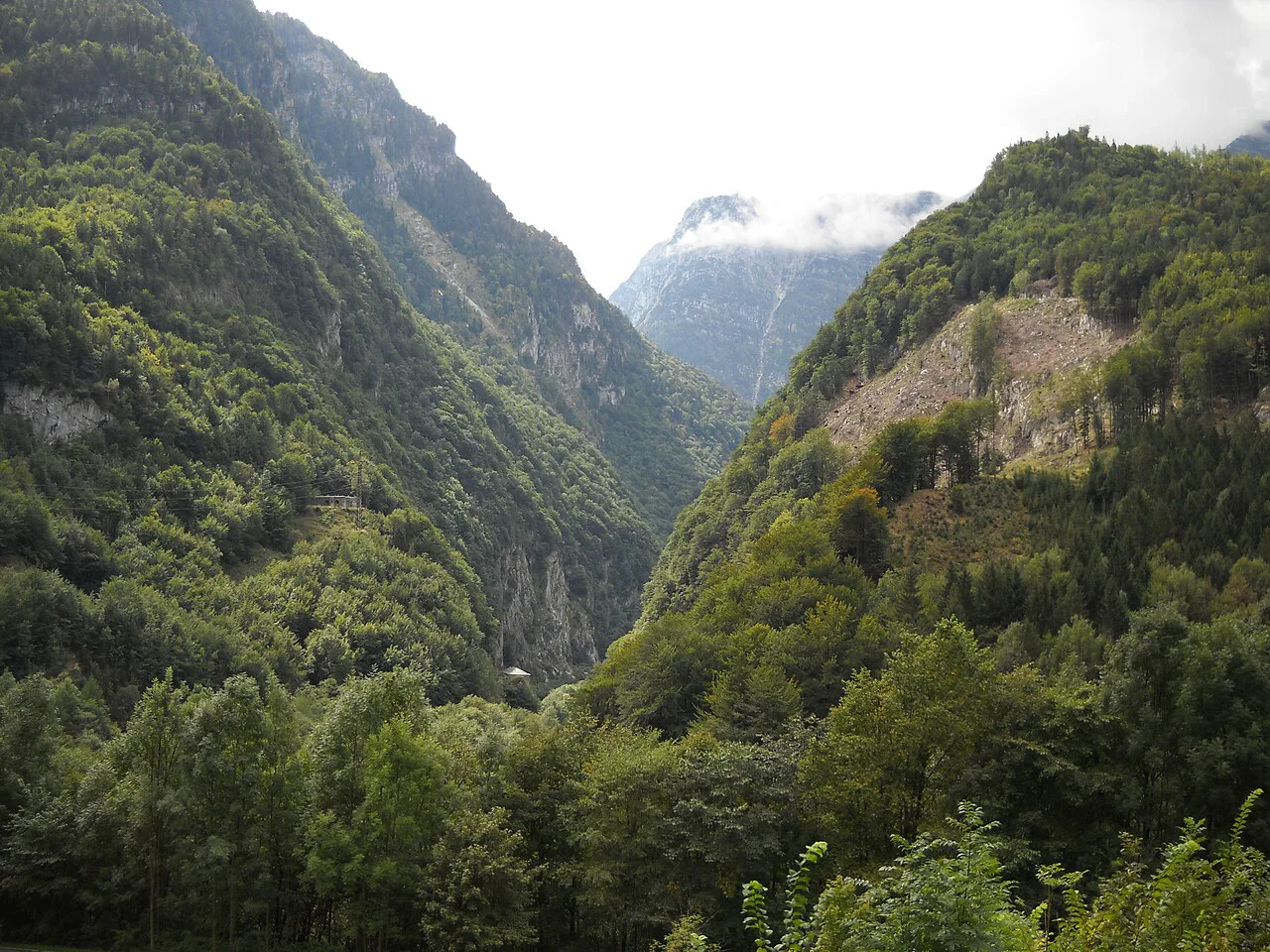 The forested Salzach valley seen from Pass Lueg, south of Golling.