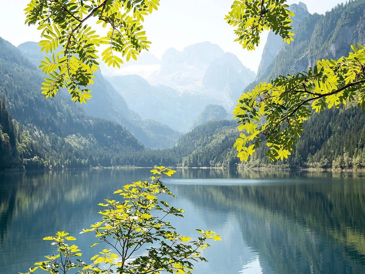 The Vorderer Gosausee framed by spring foliage, with mountains beyond.