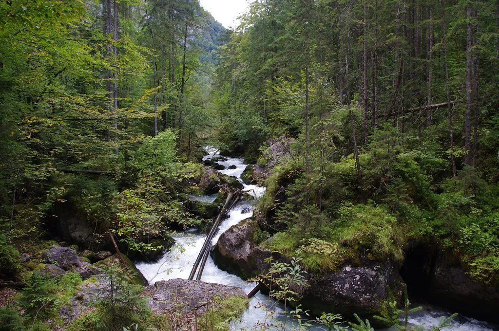 The Echern Theme Trail leading to the Waldbachstrub waterfall in Hallstatt, Austria