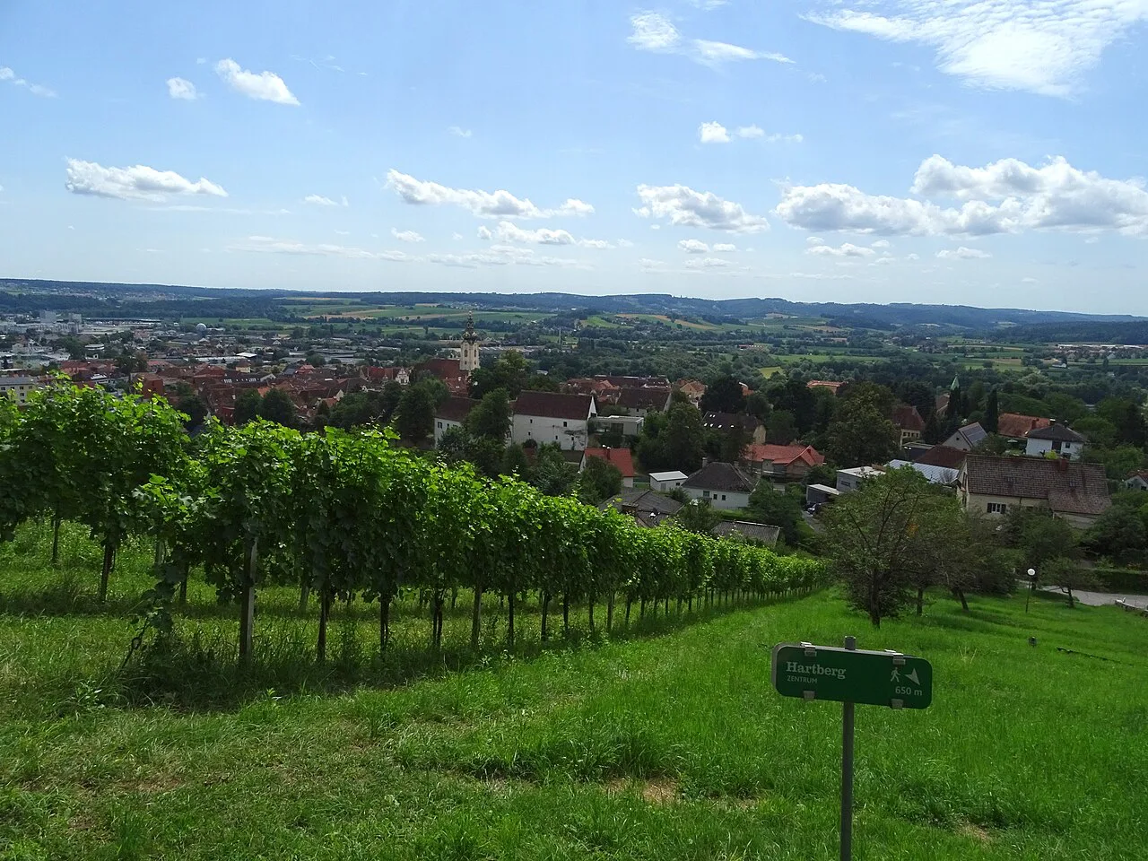 Hartberg town centre seen from the vineyards on Weinberggasse.