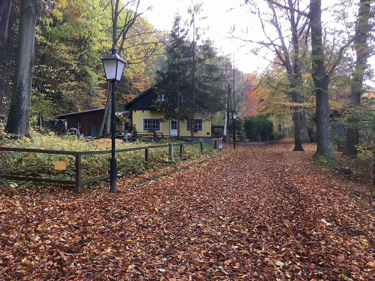 An autumn path to the Servus Hauswiese café-restaurant in the Helenental near Baden.