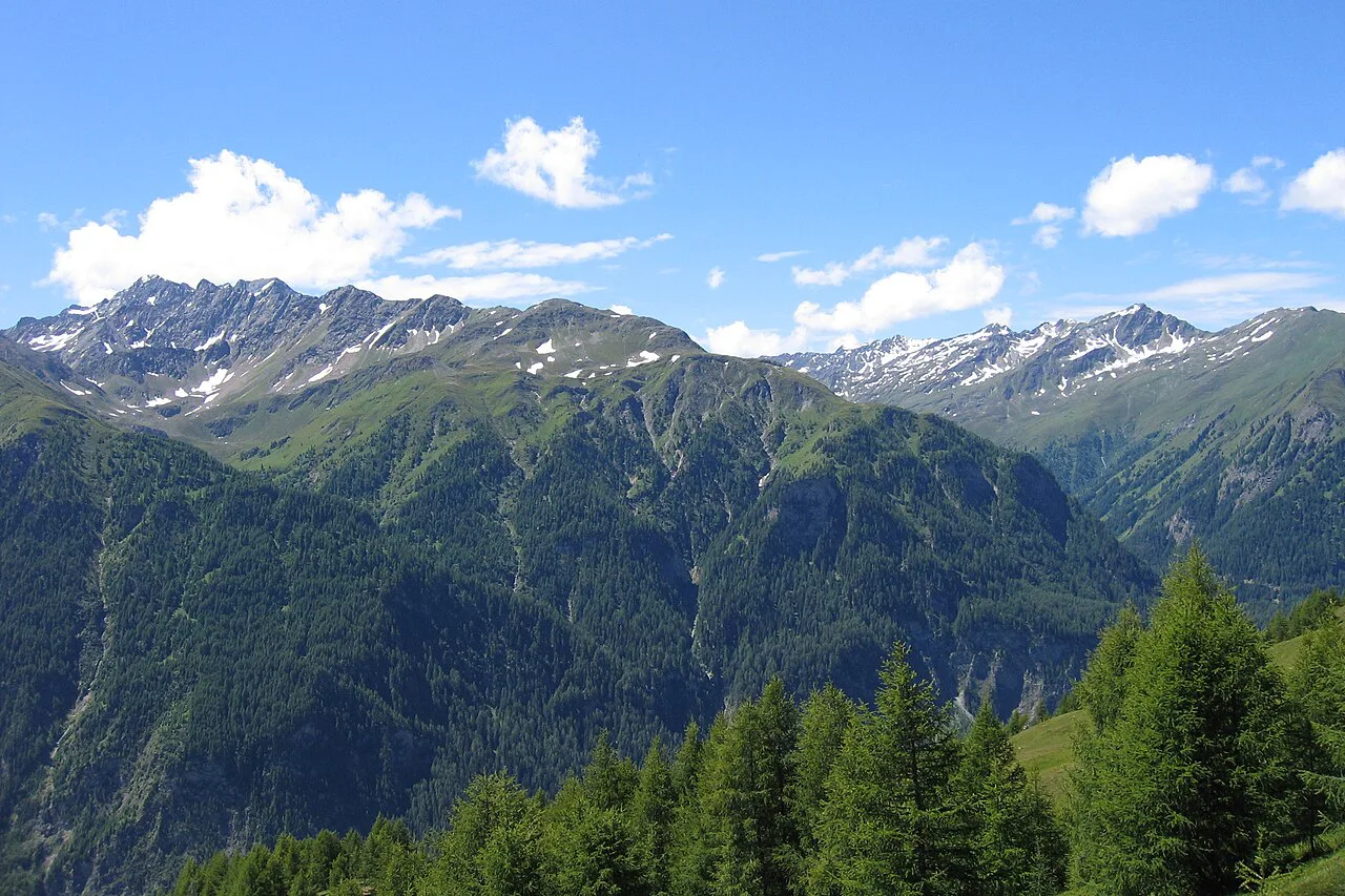 Forested valleys and ridges seen from the Schareck in the Hohe Tauern National Park.