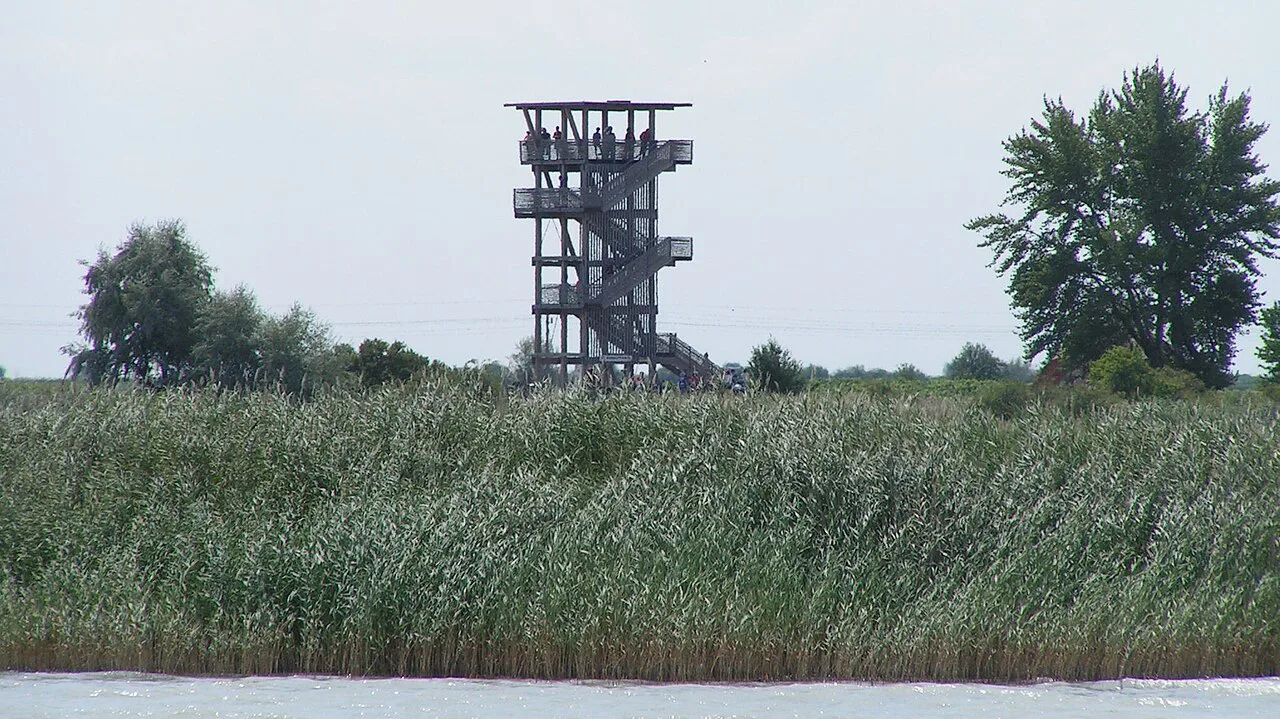 An observation tower among the reeds in the nature reserve near Illmitz.