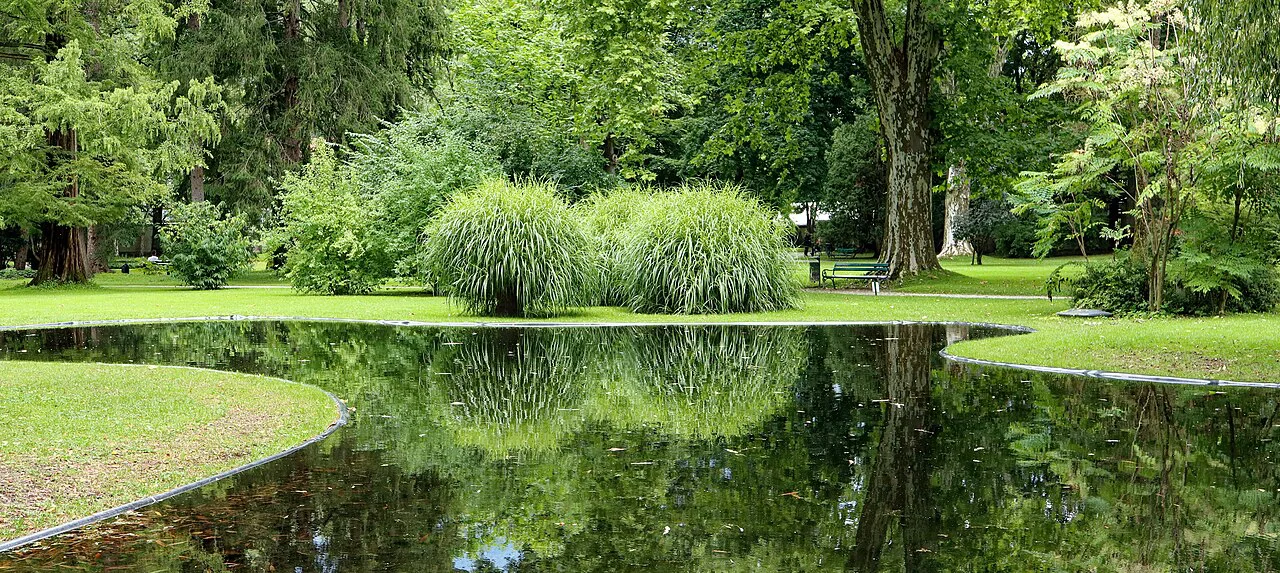 A tree-lined pond in the Hofgarten, Innsbruck's former imperial garden.