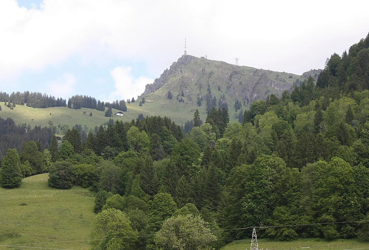 The Kitzbüheler Horn above forest and meadows, seen from Hinterobernau in Kitzbühel.