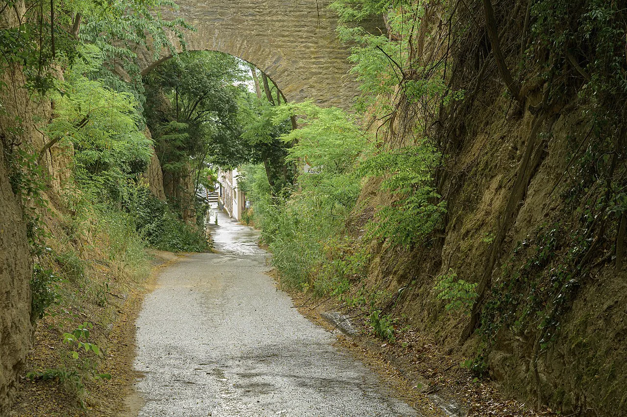 A sunken path between loess walls above the Sandgrube wine cellars in Krems.