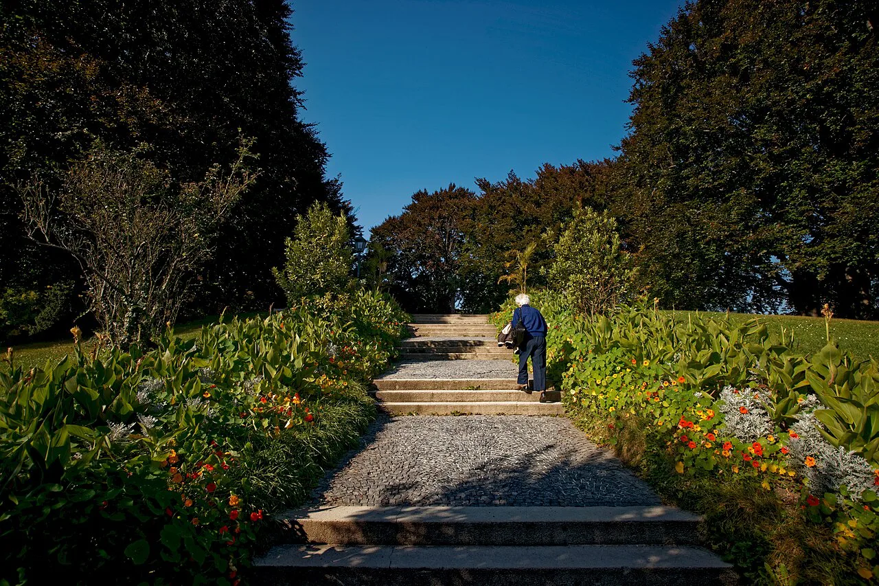 Steps between flower beds in the Kurpark of Baden bei Wien.