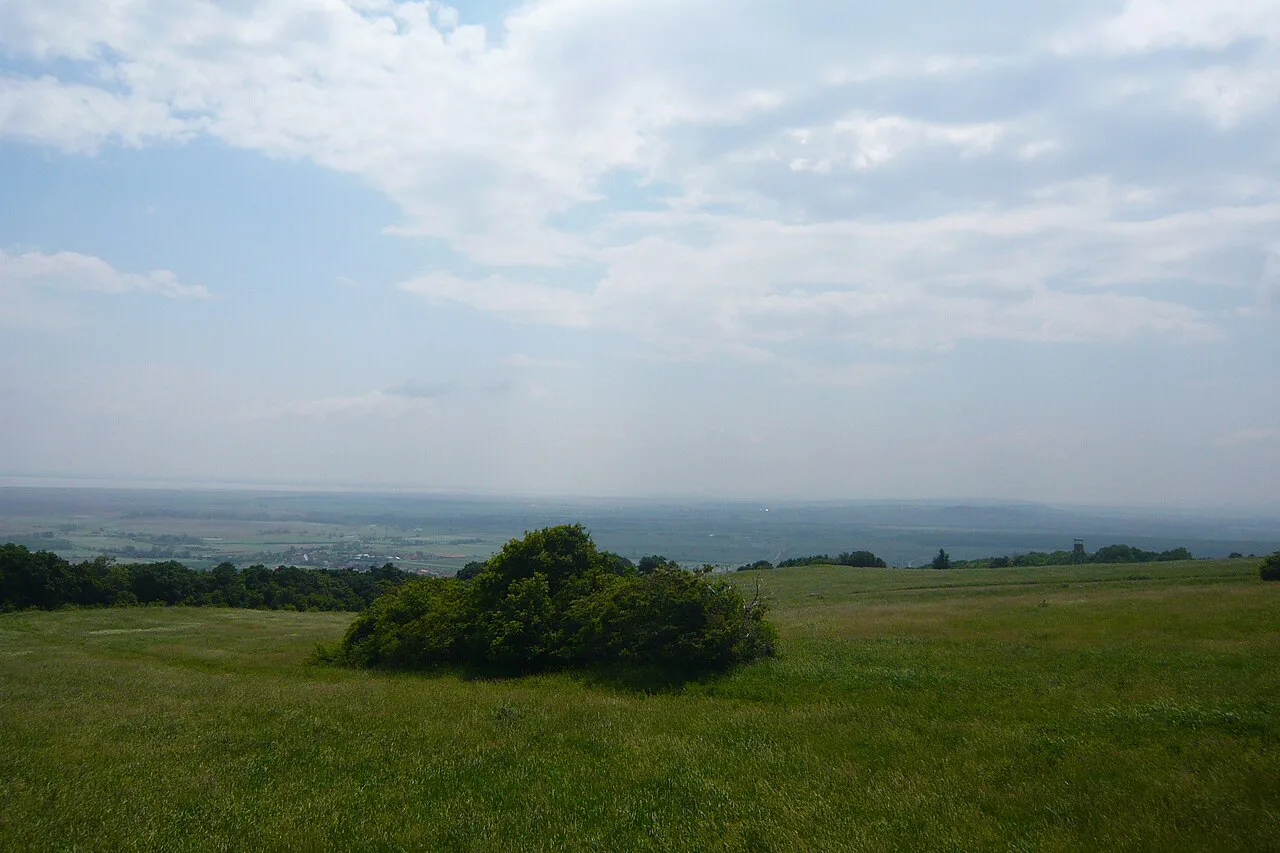 Meadow above Donnerskirchen with Lake Neusiedl on the horizon.