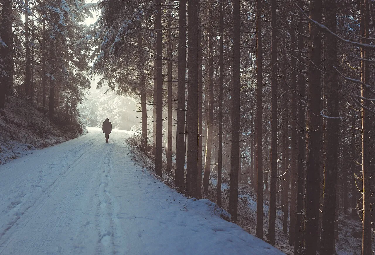 A walker on a snowy forest path near Neukirchen am Großvenediger.