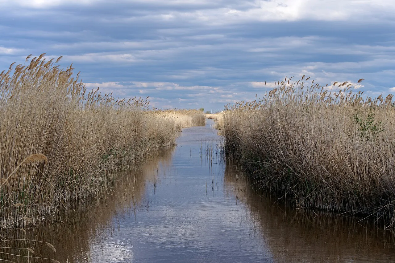 A reed-lined channel on Lake Neusiedl at Mörbisch am See.