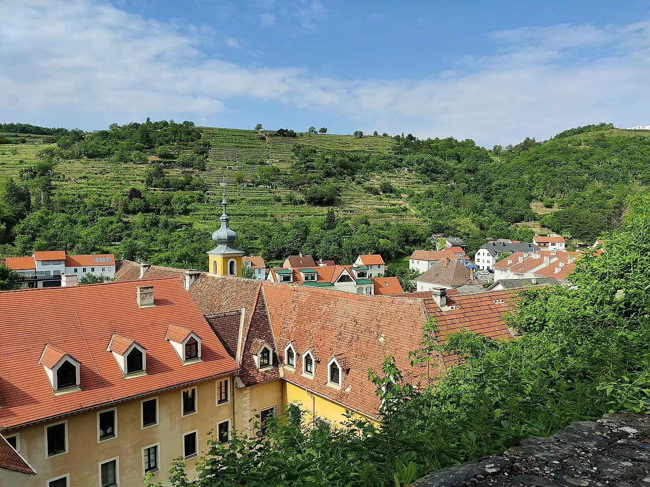 Rooftops of Krems an der Donau below terraced vineyards.
