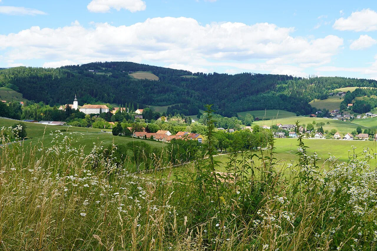 Meadows near Köflach with a view towards Piber and Schloss Piber.