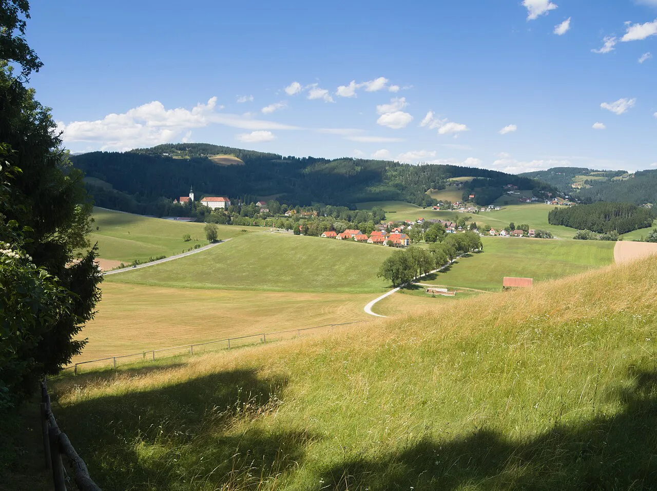 Meadows and hills around Piber, seen from the edge of the Krugkogel woods.