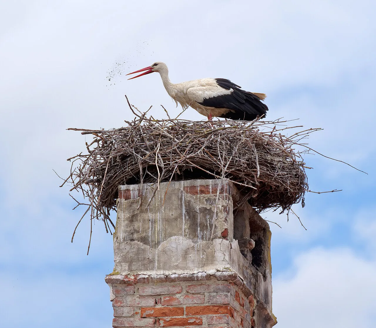 A white stork on its nest on top of a chimney in Rust.