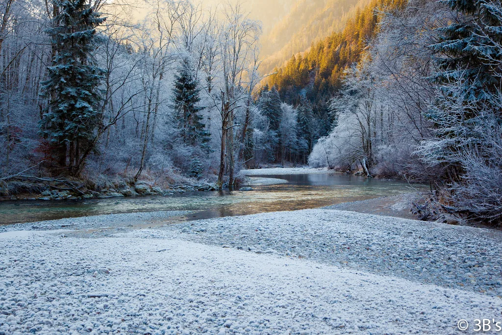 The Salza river flowing between snow-covered banks and frosted trees in Styria.