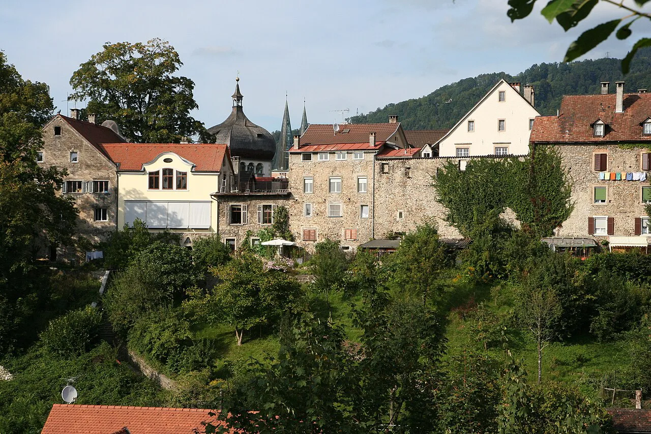 Old houses and towers of the Oberstadt, Bregenz's upper town, above trees.