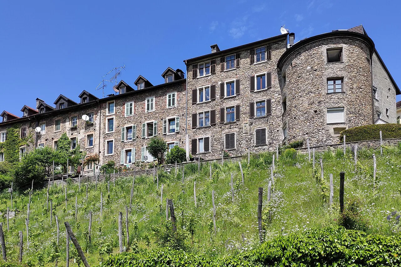 Tall stone houses along the old walls of the Oberstadt in Bregenz, above a vineyard.