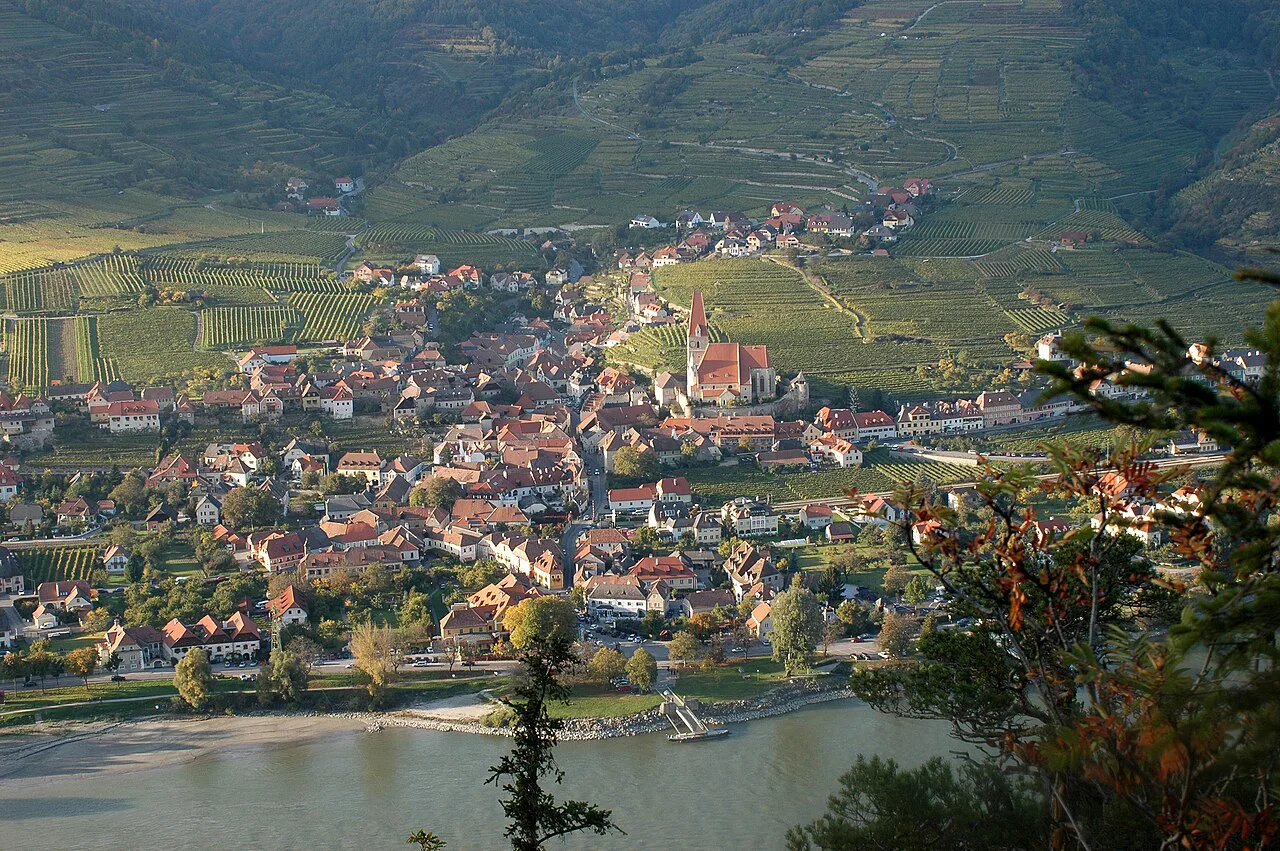 Weißenkirchen in der Wachau and its terraced vineyards seen from above.