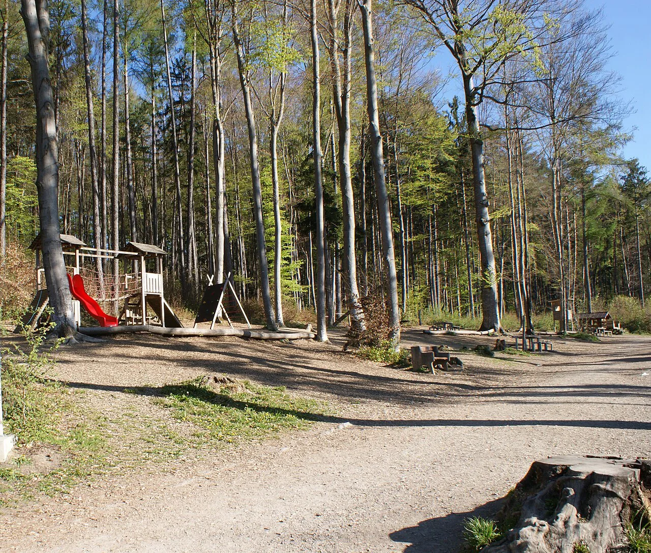 The woodland playground at the Wildpark in Feldkirch.