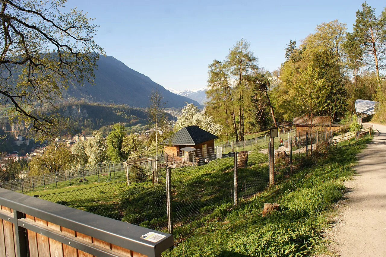 Animal enclosures and woodland at the Wildpark in Feldkirch, with mountains beyond.