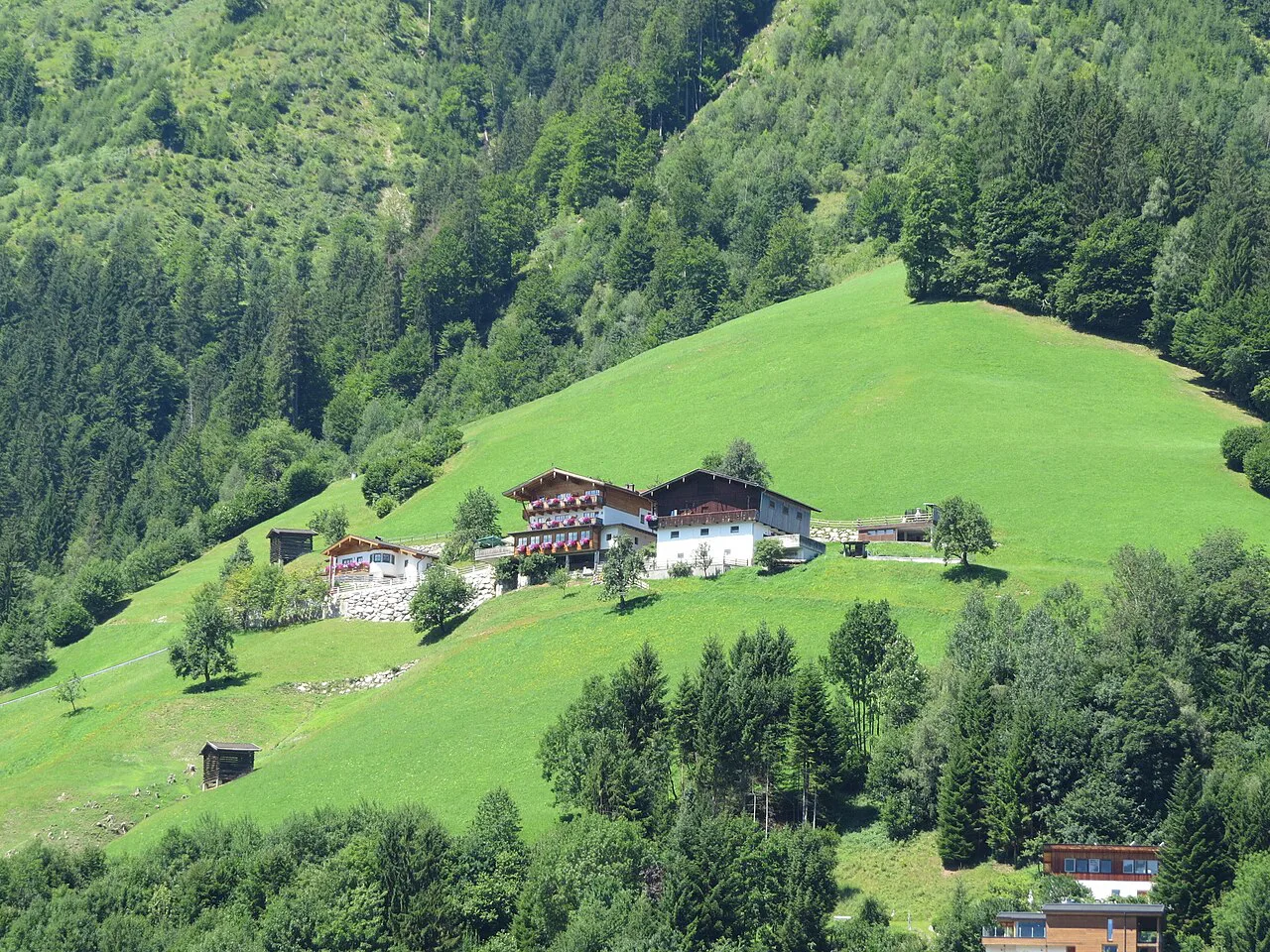 Farm buildings on green slopes above Zell am See.